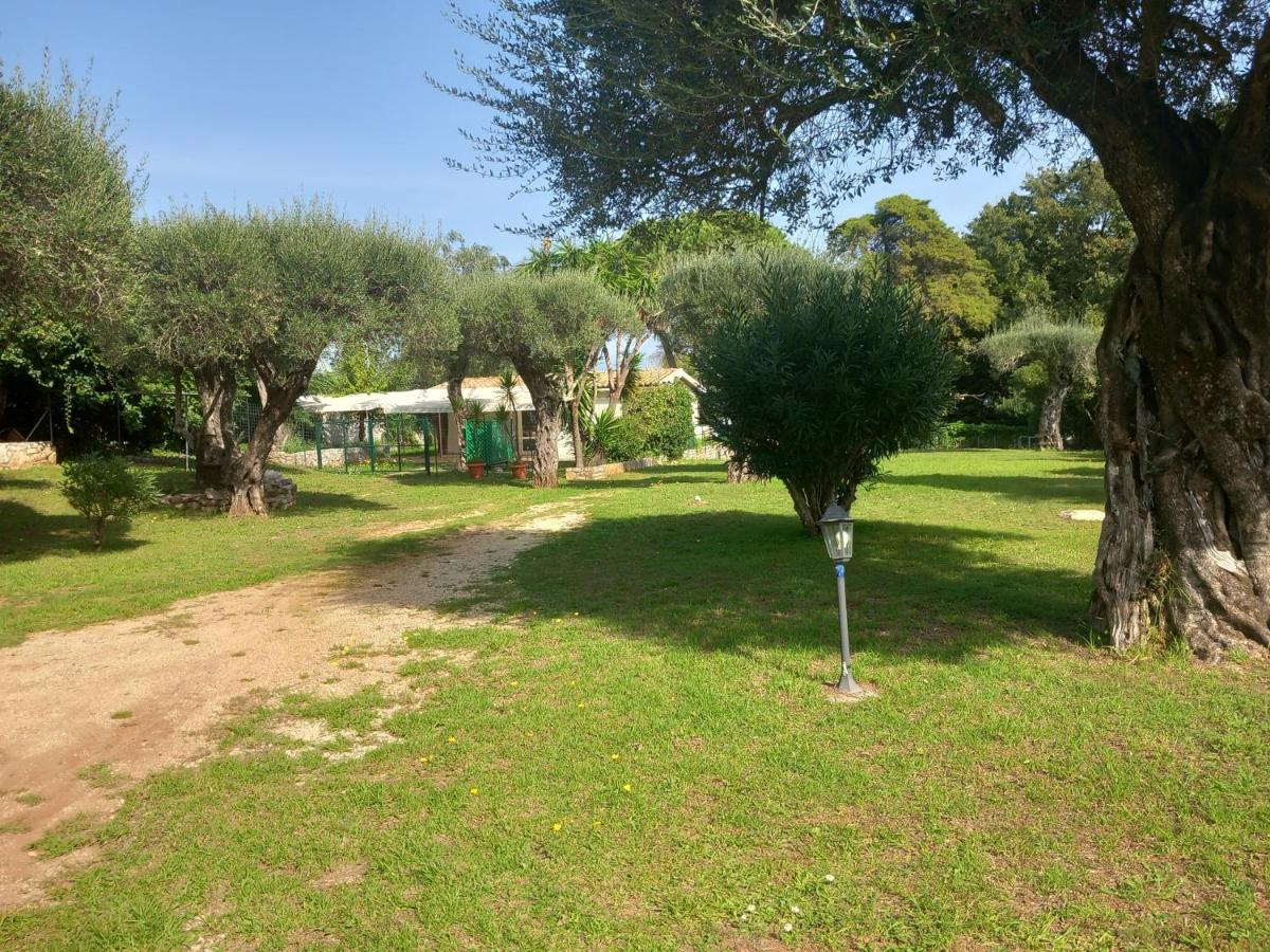 Katia cottage Kassiopi - Bed and Breakfast