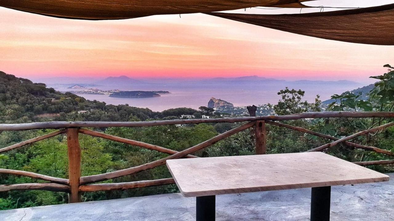 La Casetta nel Bosco - B&B Ischia