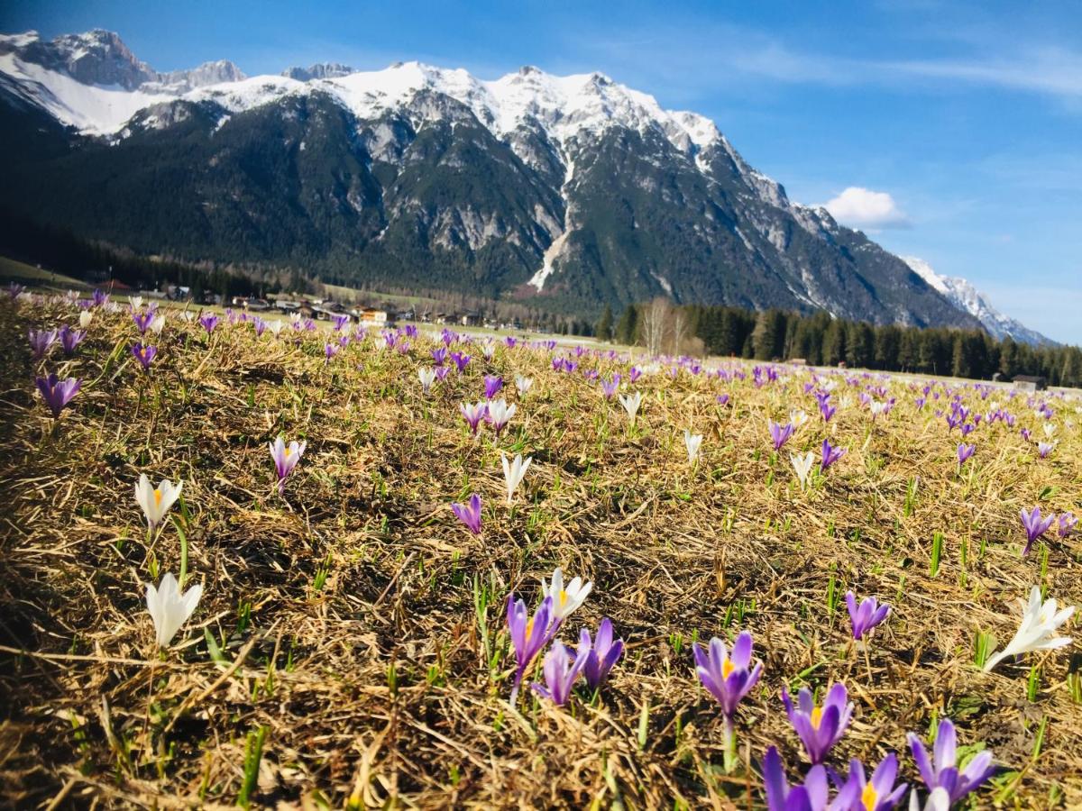 Zottlhof- dein Urlaubszauber auf 1.200m - B&B Leutasch