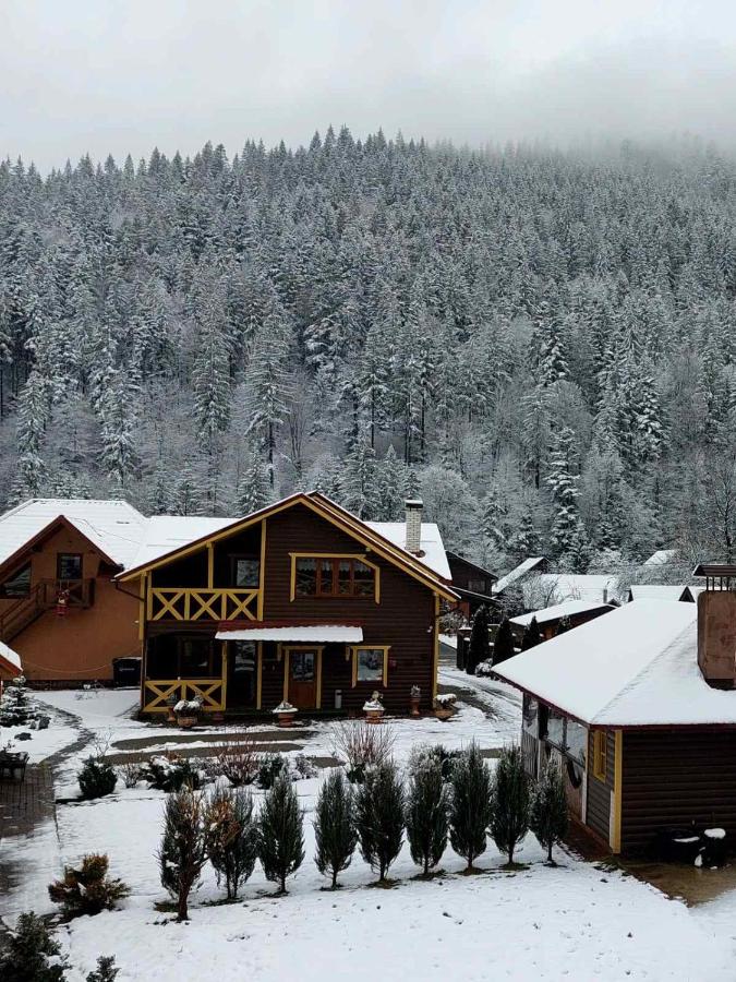 Сімейний котедж У Діани - B&B