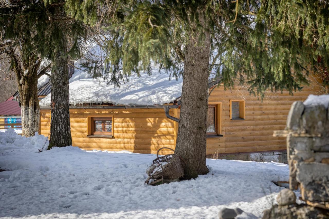 B&B Medak - House under the Velebit mountain - Bed and Breakfast Medak