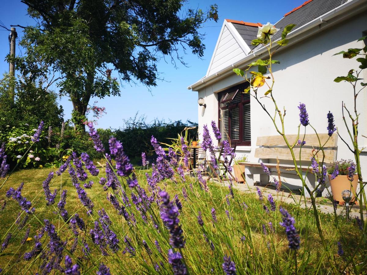 Y Cuddfan Gower - B&B