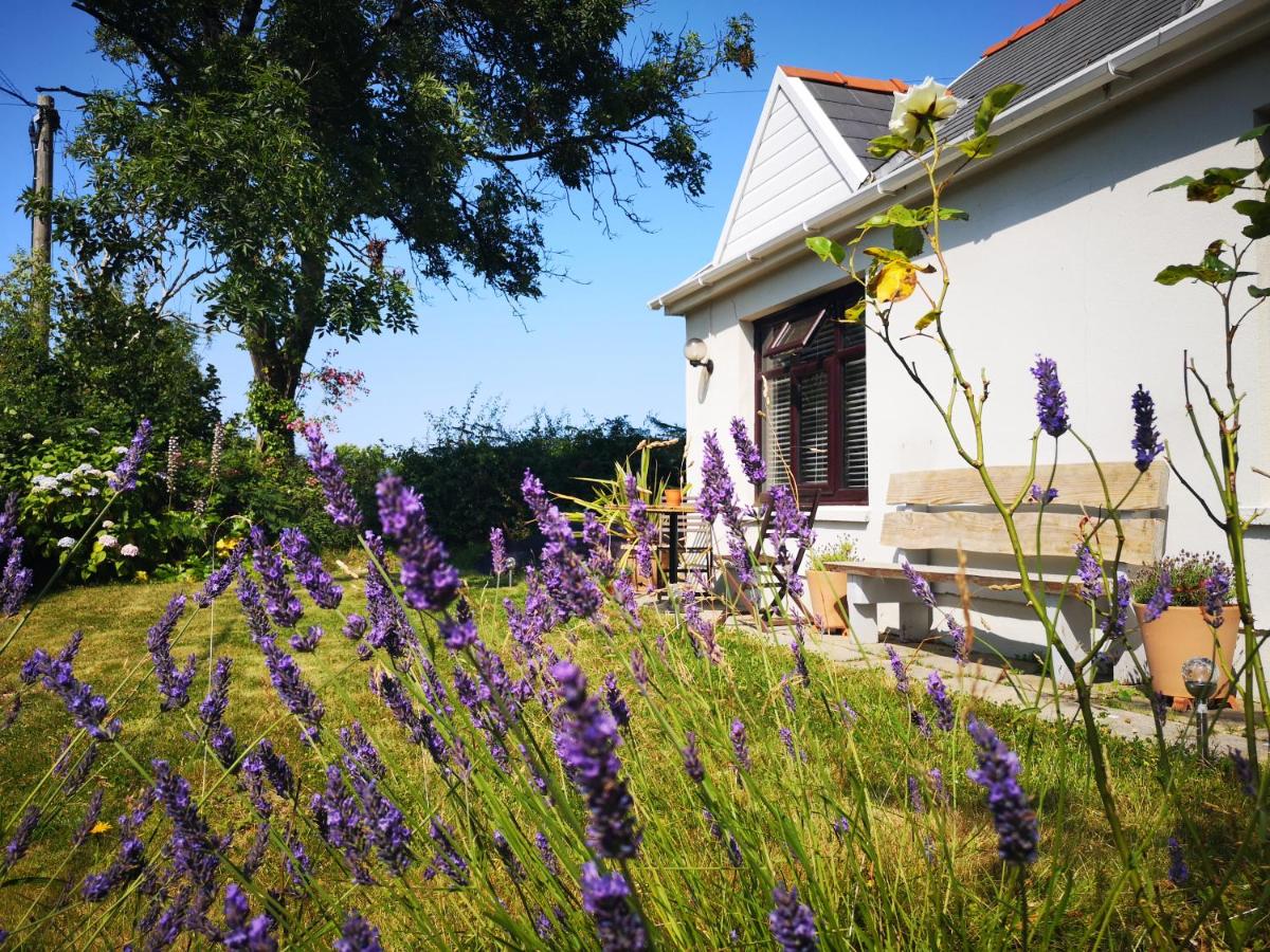 B&B Swansea - Y Cuddfan Gower - Bed and Breakfast Swansea