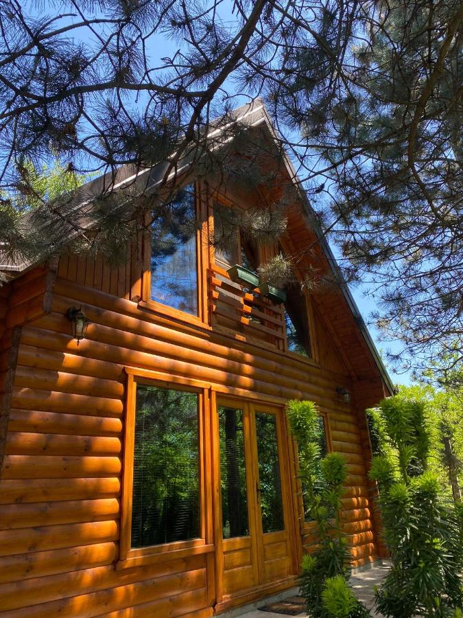 Brvnara oaza mira - Devojacki bunar - B&B