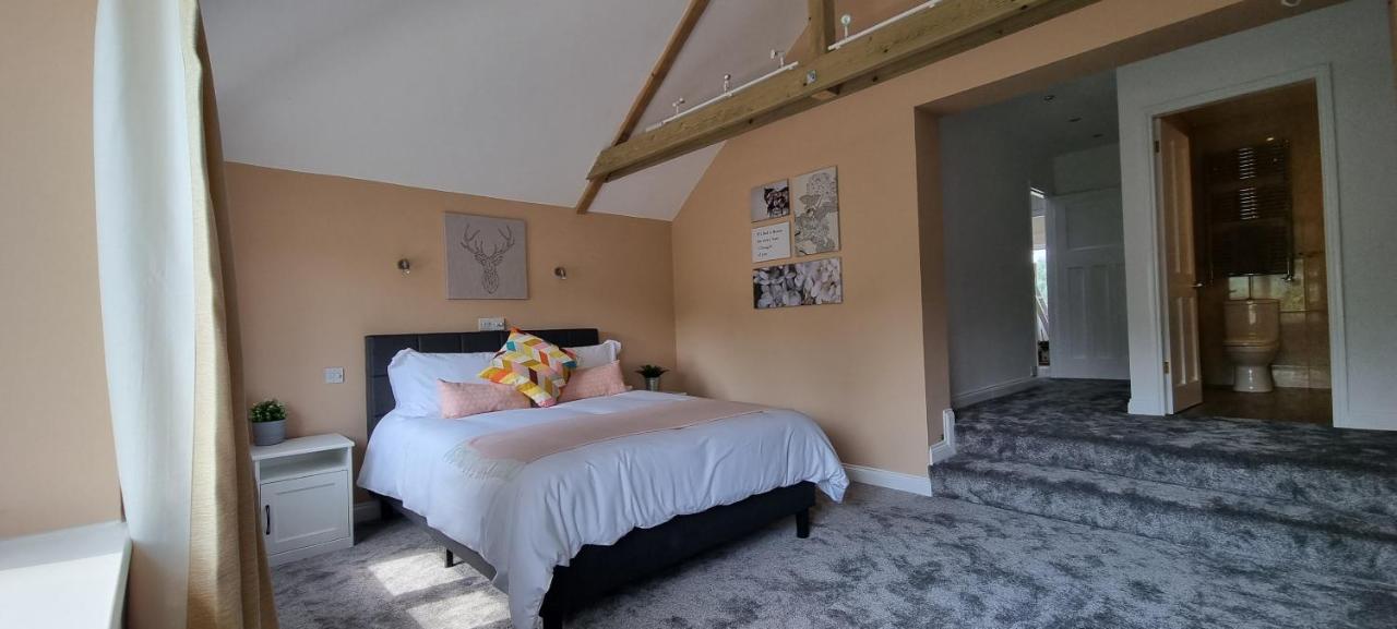 B&B Oxford - Walnut Tree View - Bed and Breakfast Oxford