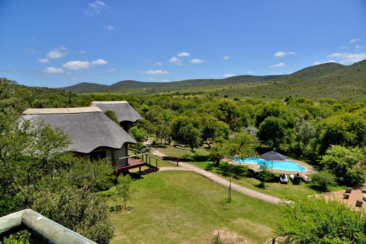 B&B Mossel Bay - Garden Route Safari Camp - Bed and Breakfast Mossel Bay