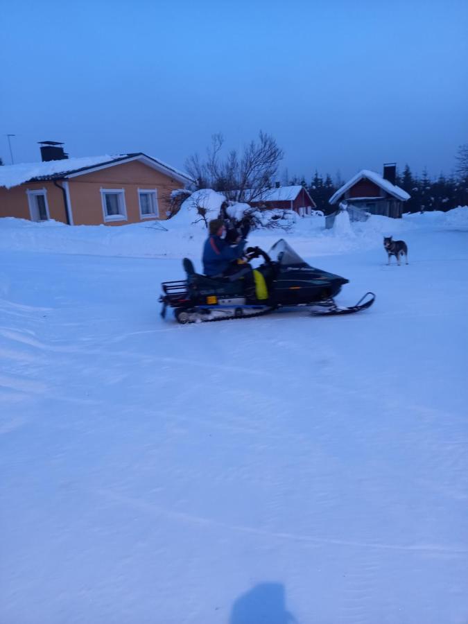 Metsälä - B&B Kortteinen