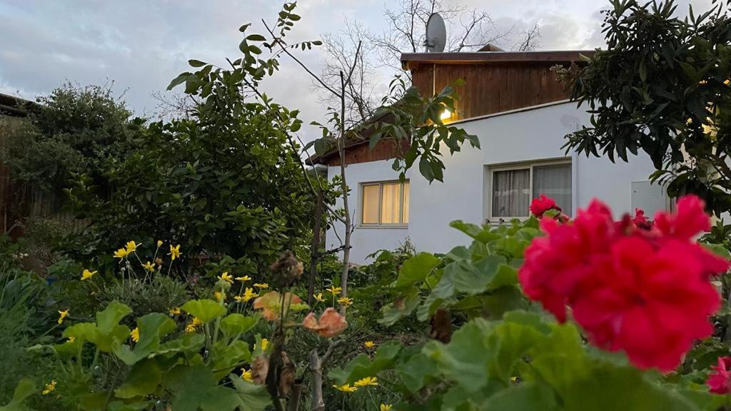 Hollyday & vacation - Bed and Breakfast