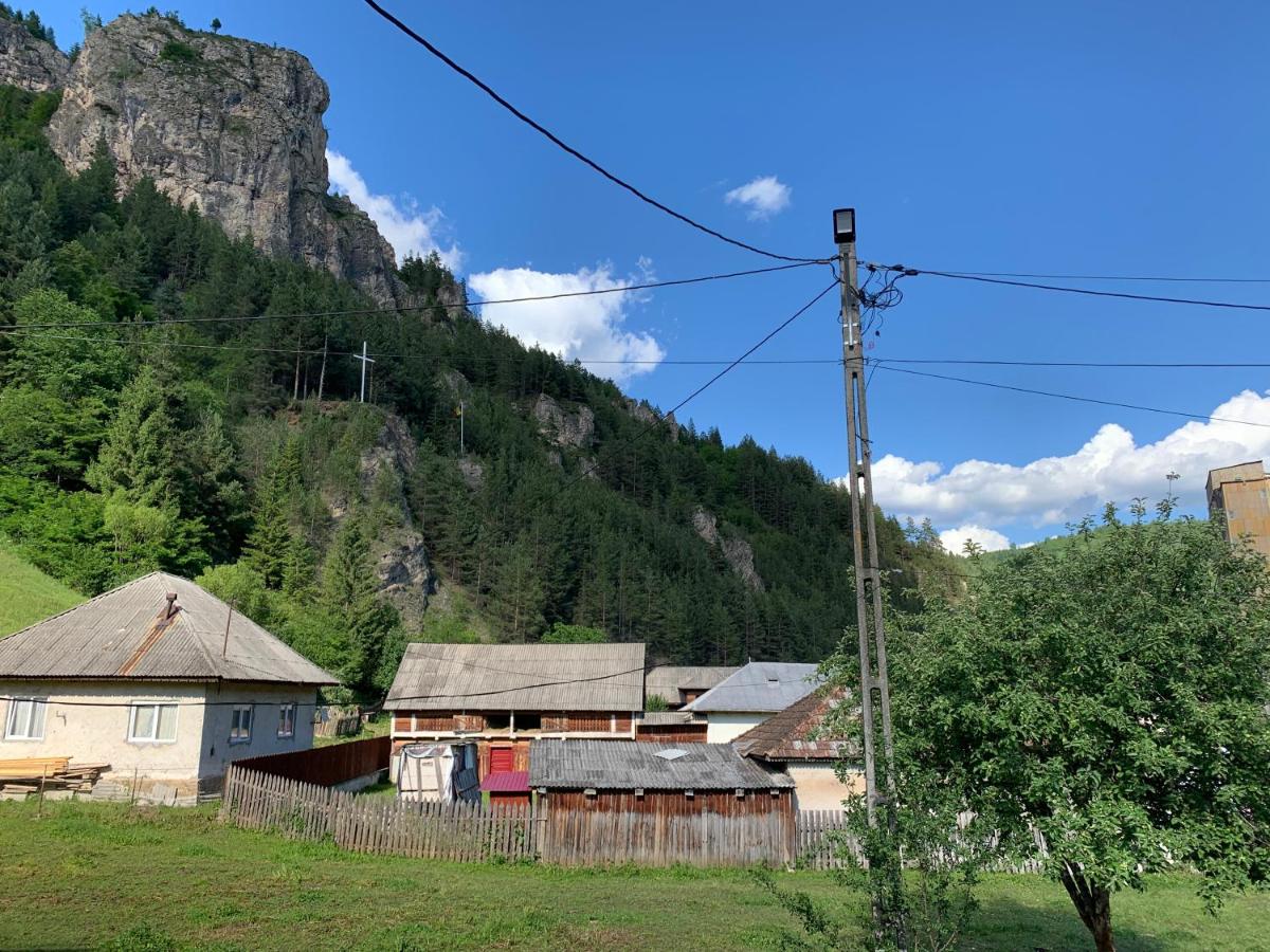 Acasa in Bicaz-Chei - Camere de inchiriat Cheile Bicazului - Chambres d'hôtes Bicaz-Chei