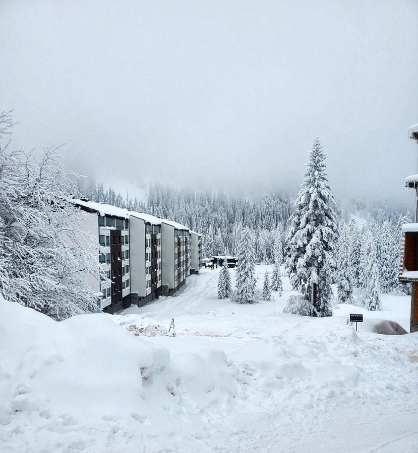 Iskra L5A11 apartman - Jahorina - B&B Jahorina