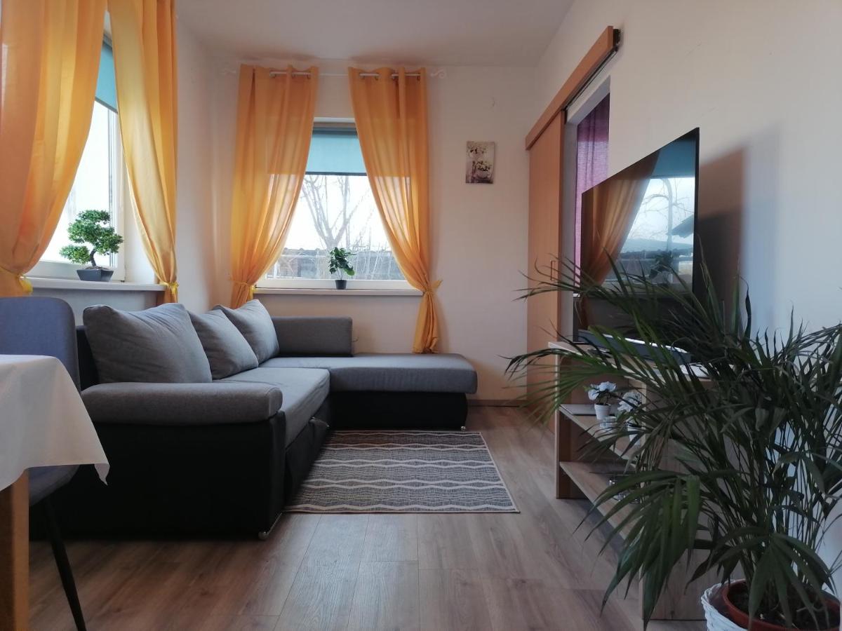 Apartment mit 1 Schlafzimmer