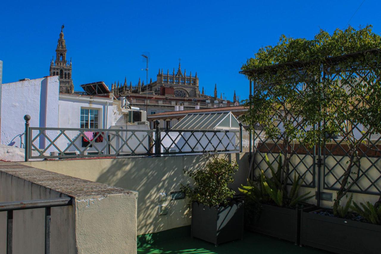 City Rooftop Paradise - Space Maison Apartments - Bed and Breakfast