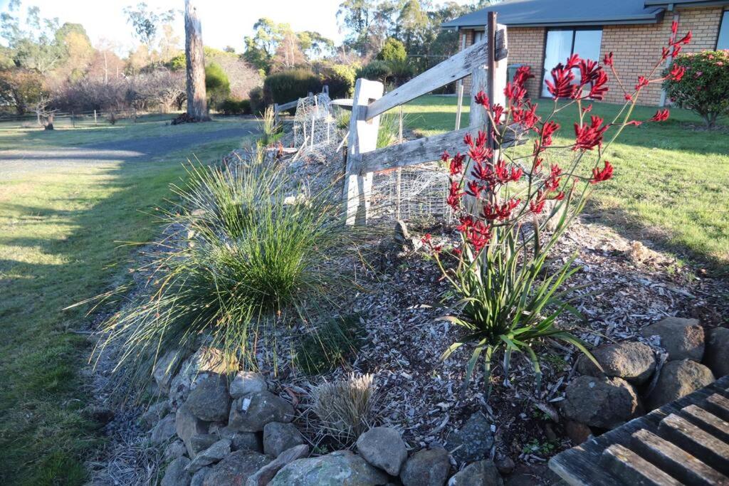 B&B Breadalbane - Summit Rural peace10 mins from Launceston - Bed and Breakfast Breadalbane