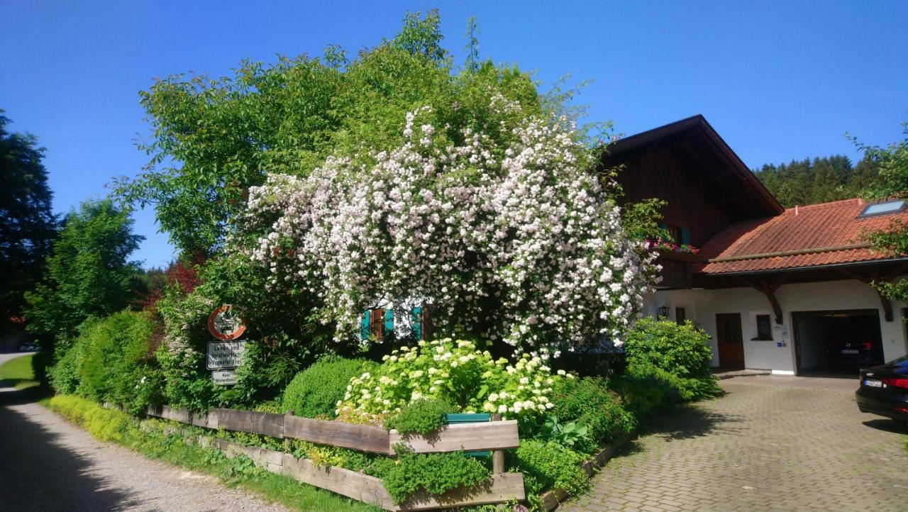 B&B Rieden am Forggensee - Ferienhaus "Allgäu" - Bed and Breakfast Rieden am Forggensee