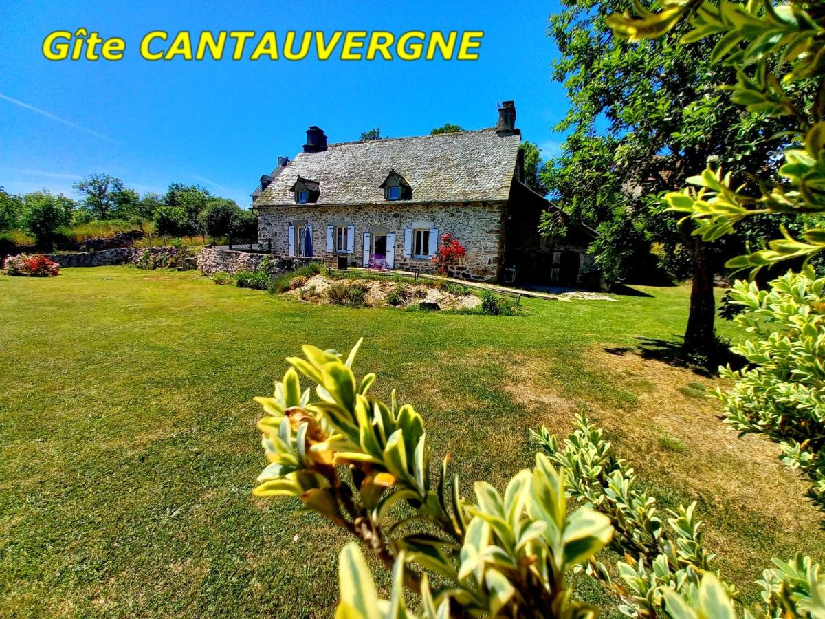 B&B Vebret - Gite CANTAUVERGNE - Bed and Breakfast Vebret