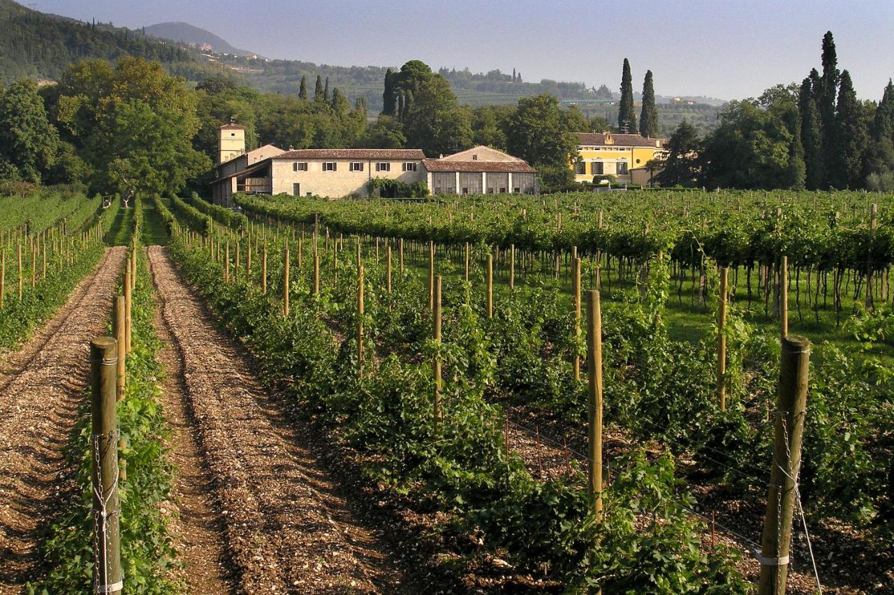La Foresteria Serego Alighieri - B&B Sant'Ambrogio di Valpolicella