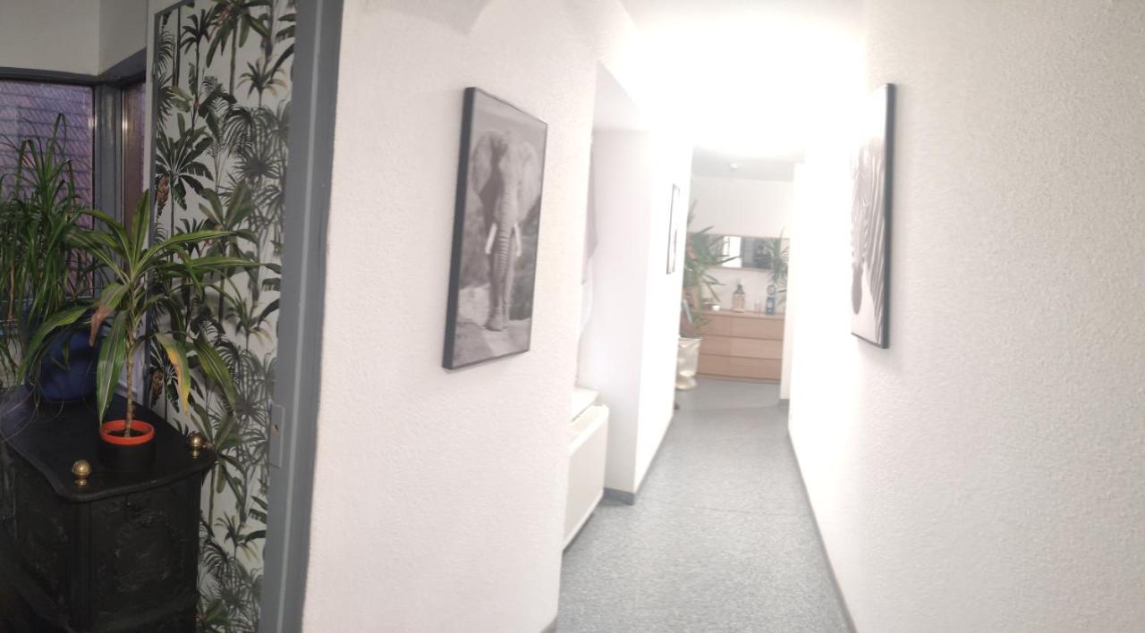 Les studios du frankenthal - B&B