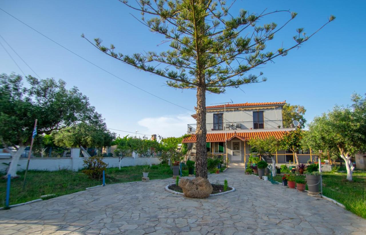 Mystic Rose by "elite" - B&B Vasilikos