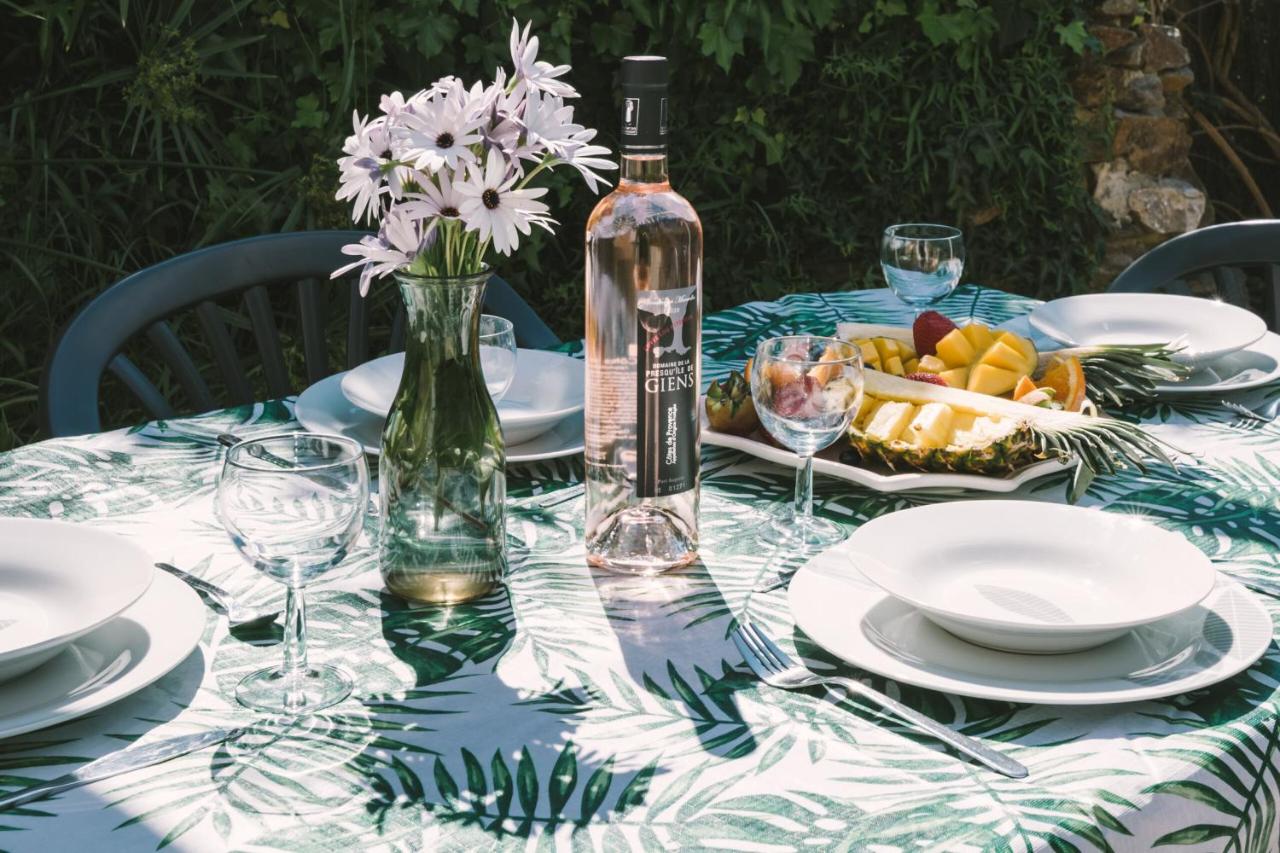 L'Auguière Ouest, maisonnette au cœur du vignoble proche de la mer et des sentiers côtiers - B&B Hyères