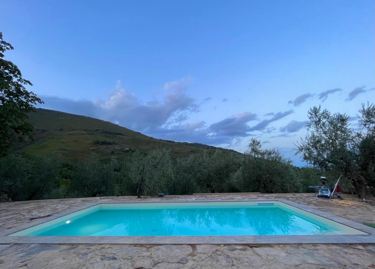 Agriturismo Campo dei Lupi - B&B Vicopisano