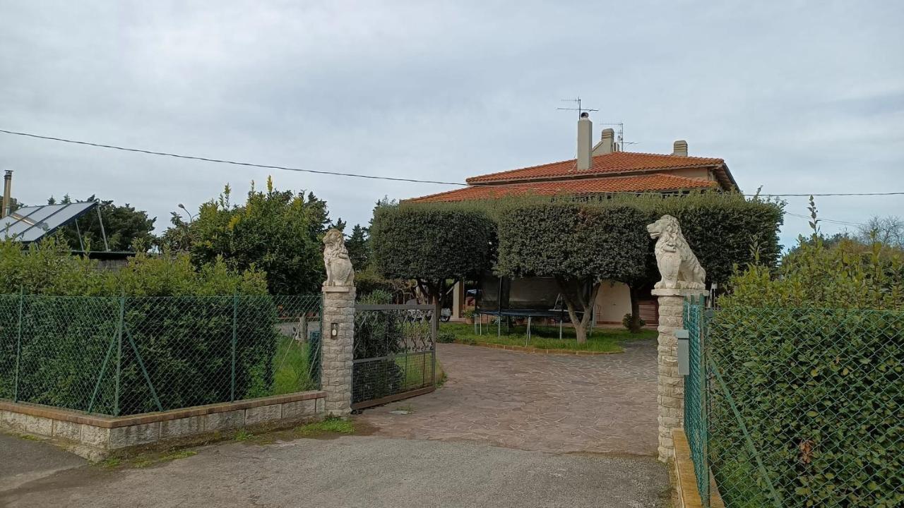 8380 Il Glicine - B&B Albinia
