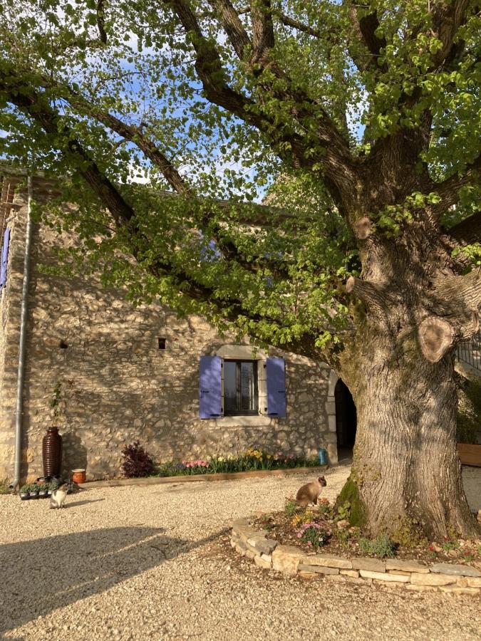 Chambre d'hôtes Bambou- A l'Ombre des Tilleuls - B&B