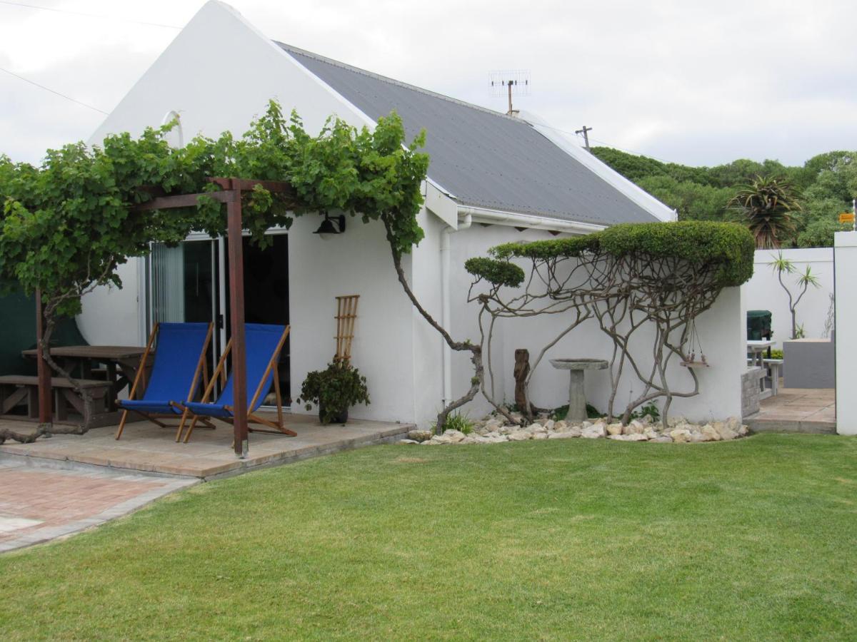 B&B Gansbaai - Vineyard Cottage - Bed and Breakfast Gansbaai