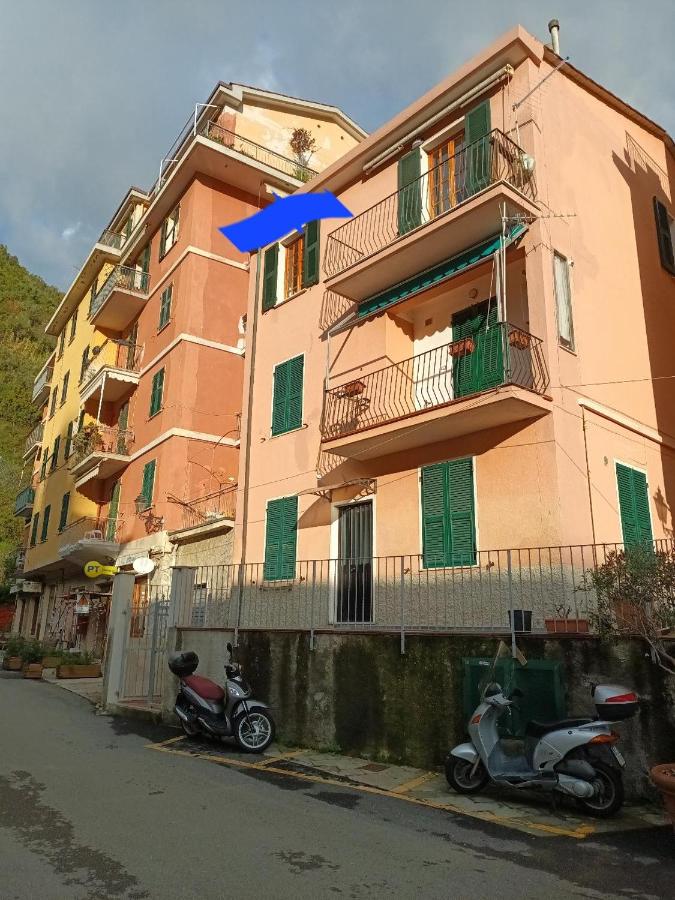 Appartamento Linda a pochi passi dal mare - 011030-LT-0357 - Ferienwohnung