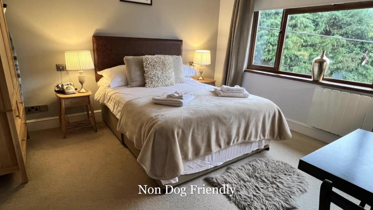 Double Room - No Pets Allowed