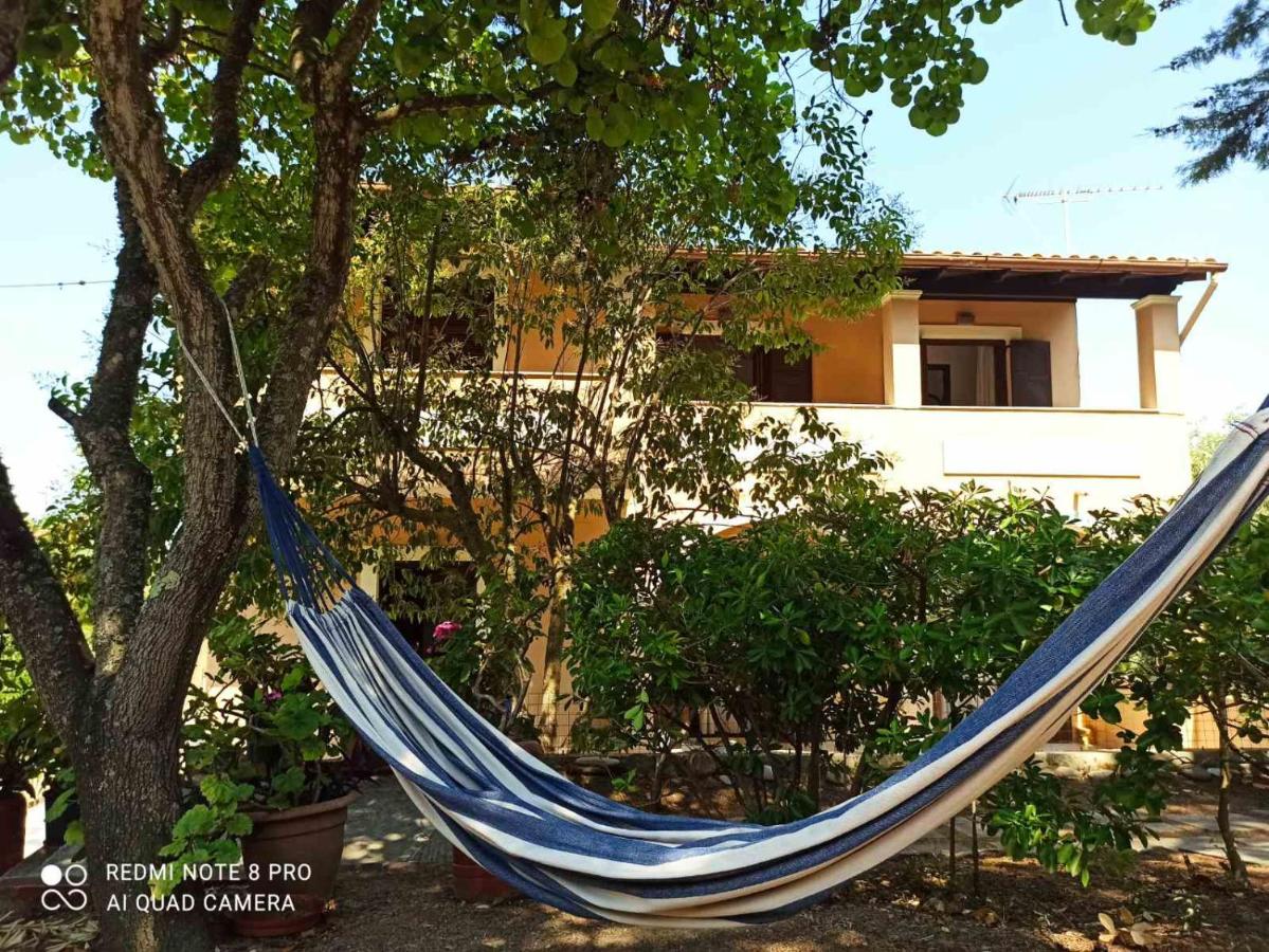 Ektora's House - Bed and Breakfast