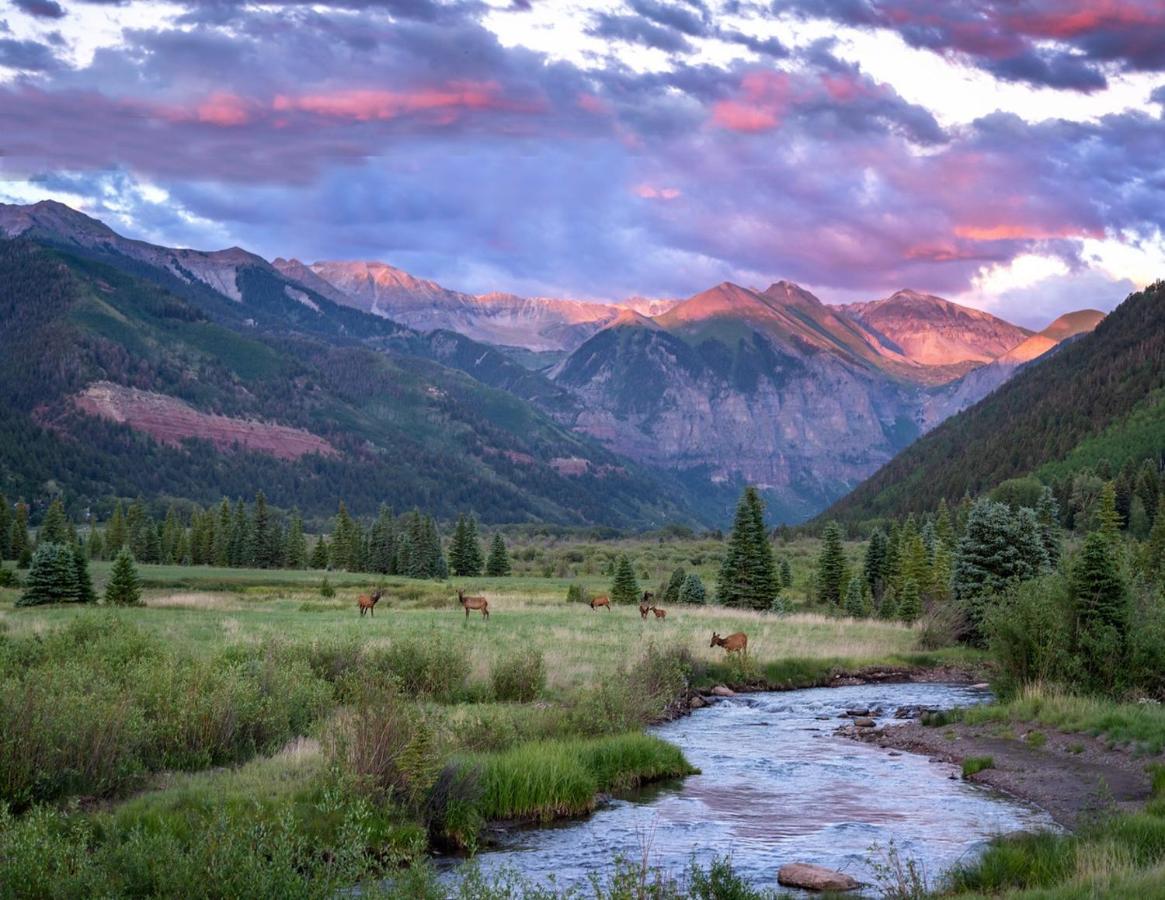 Comfort, Style, Short Walk to Town Park & Gondola condo - B&B Telluride