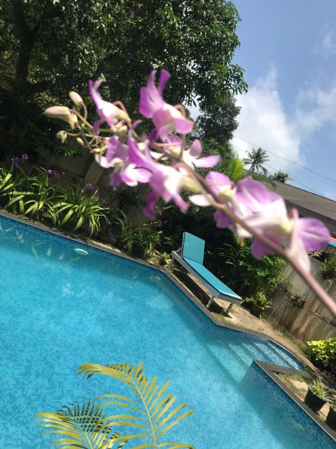Villa con vistas al jardín