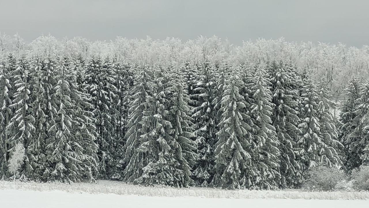 Haus mit 2 Schlafzimmern
