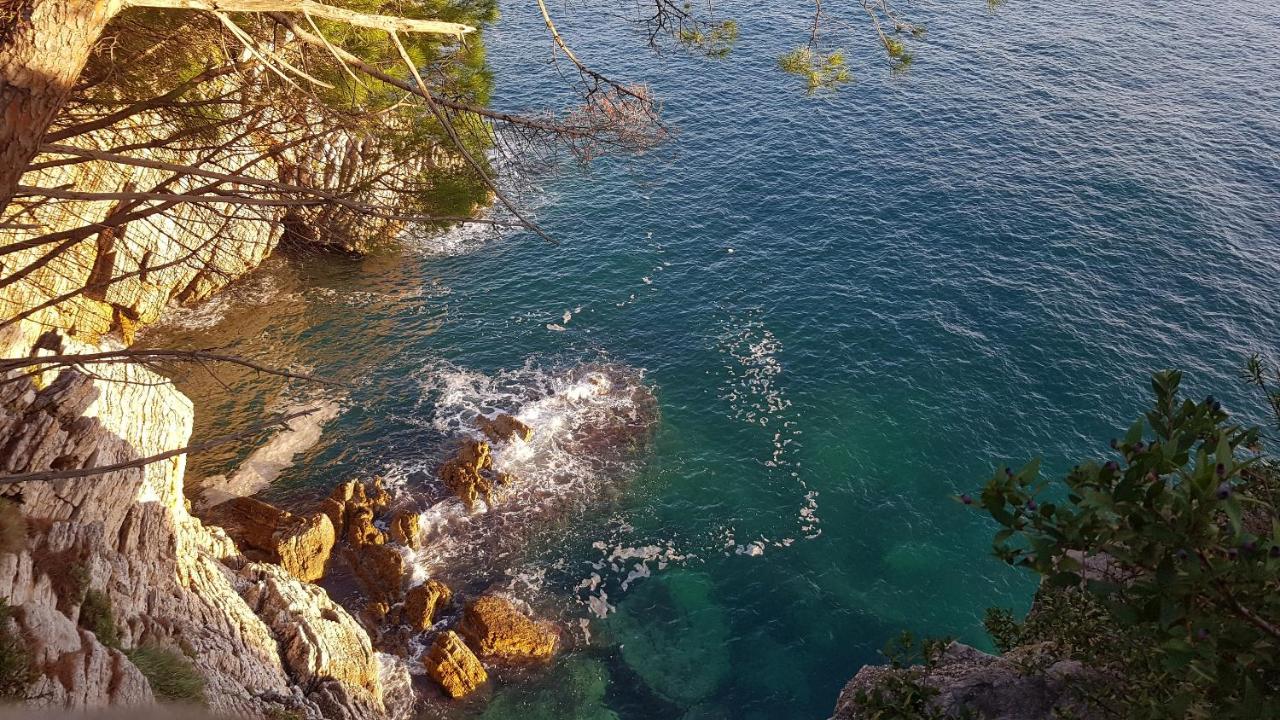 Studio met Uitzicht op Zee