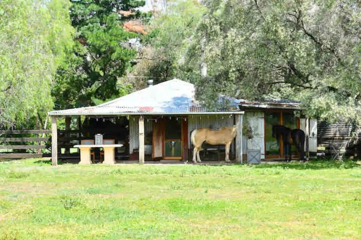 The Shearing Shed - Boutique Farm Stay - B&B