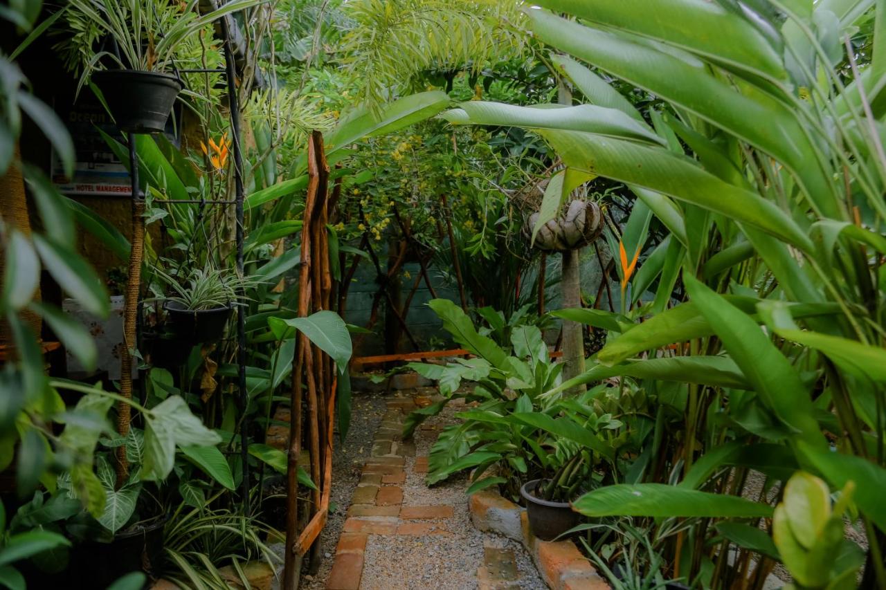 Ruwan Jungle Homestay - B&B Mirissa city