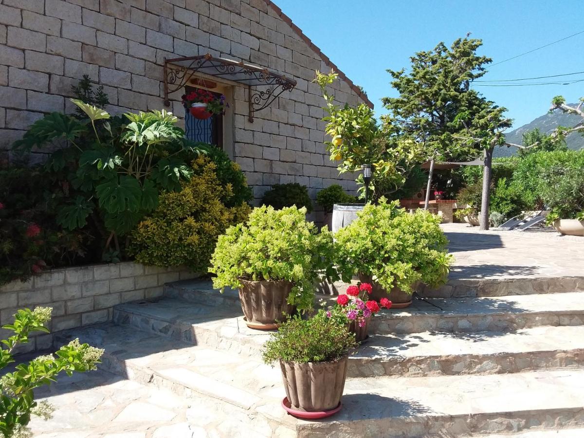 Magnifique villa piscine Propriano - B&B Olmeto