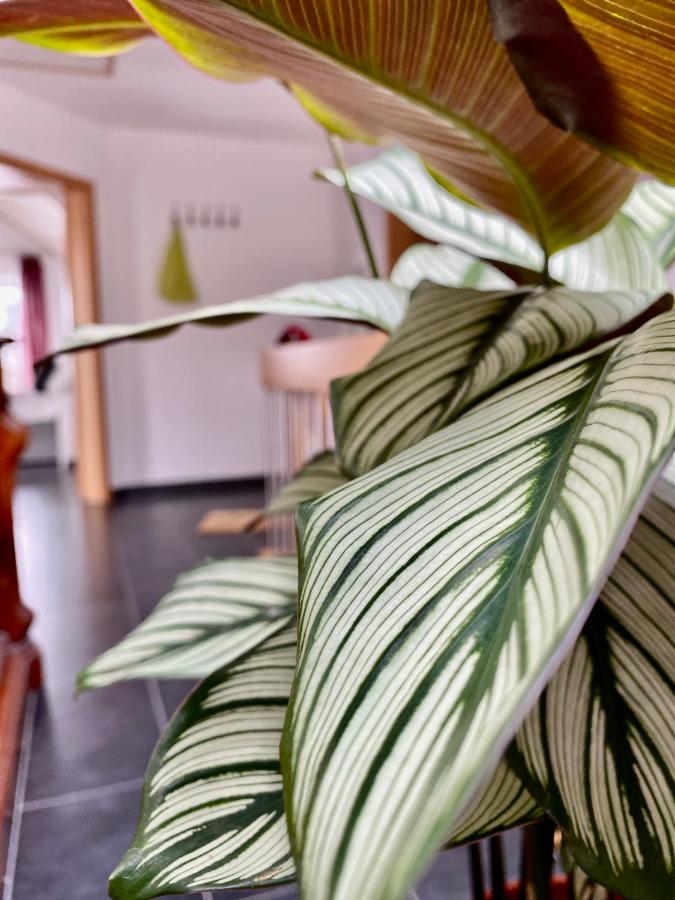 Moderne Ferienwohnung Seeblick - B&B Freudenberg