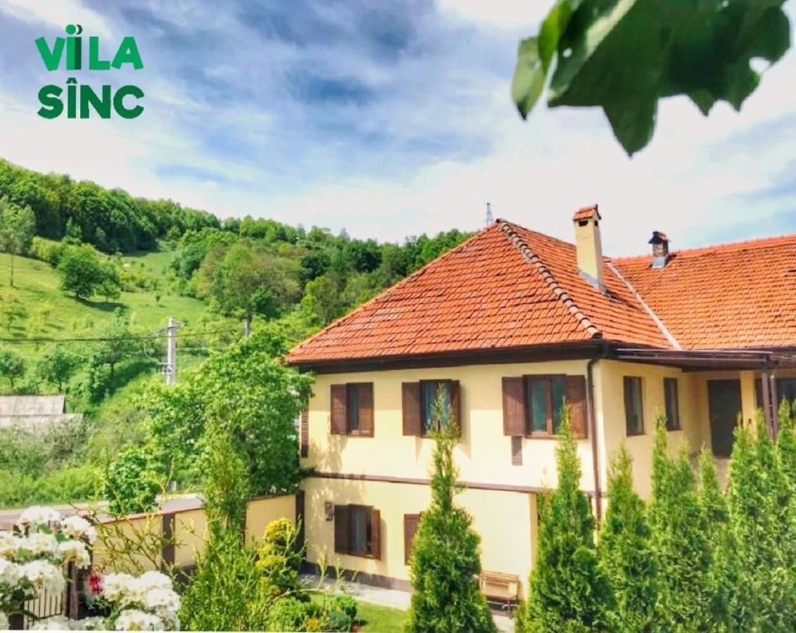 B&B Botești - Vila Sînc - Bed and Breakfast Botești