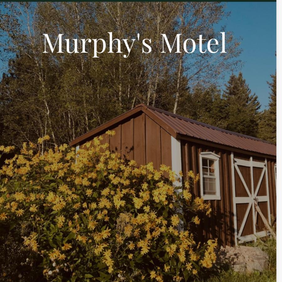 B&B Dacre - Murphy’s Motel - Bed and Breakfast Dacre