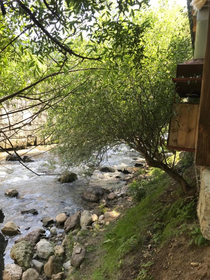 Haghartsin guest house Loft Коттеджи на берегу реки - B&B Dilijan