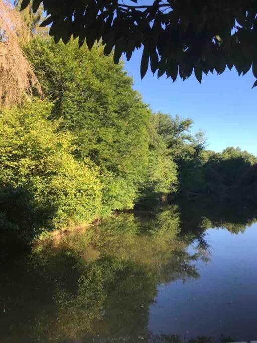 Ancient Mill with Beautiful Lake and Streams - B&B Les Riffes