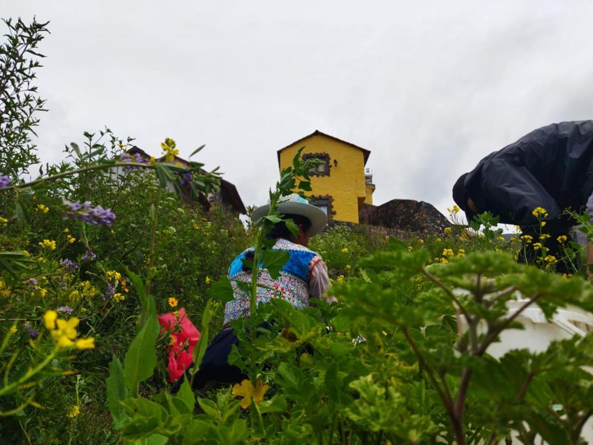 Lodge Mirador San Antonio- Colca - B&B Coporaque