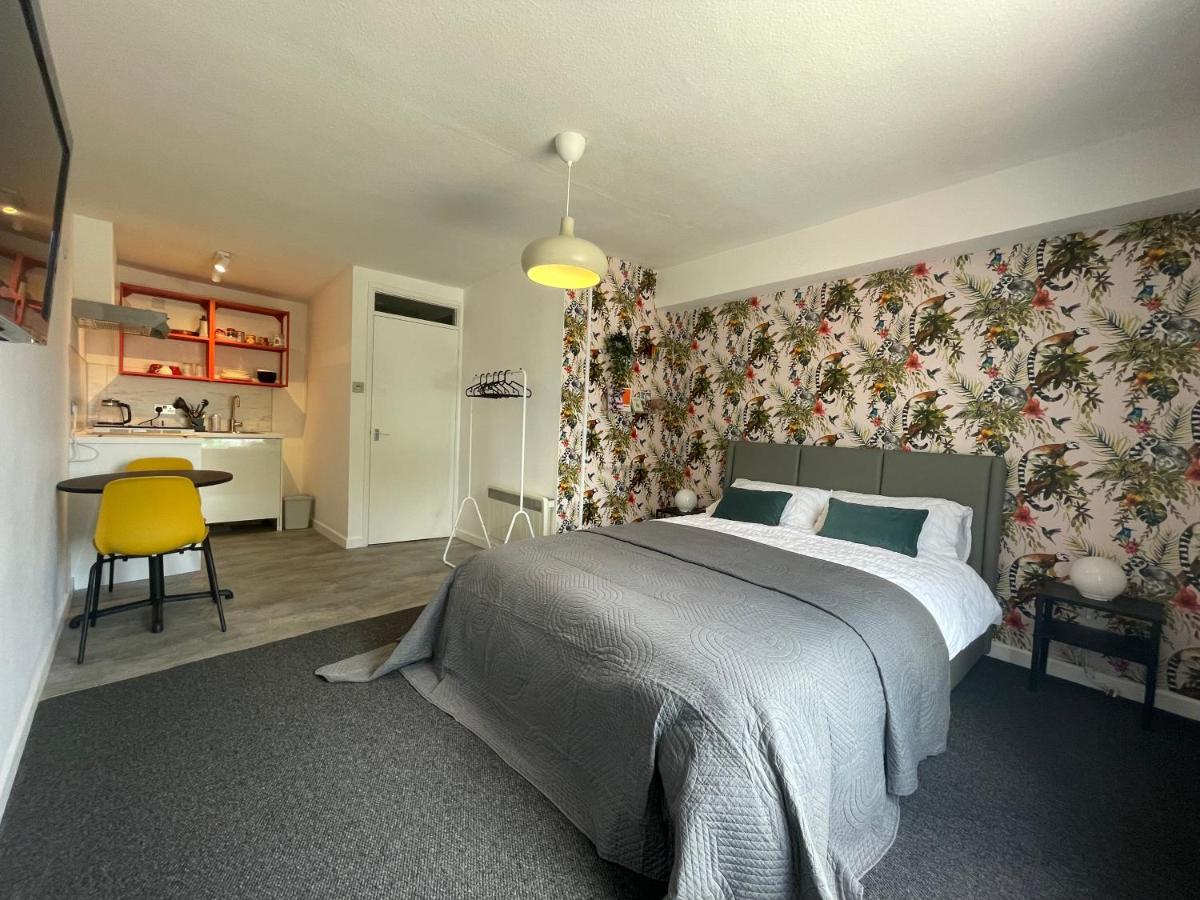 Modern studio apartment; 10min walk to town & quay - B&B