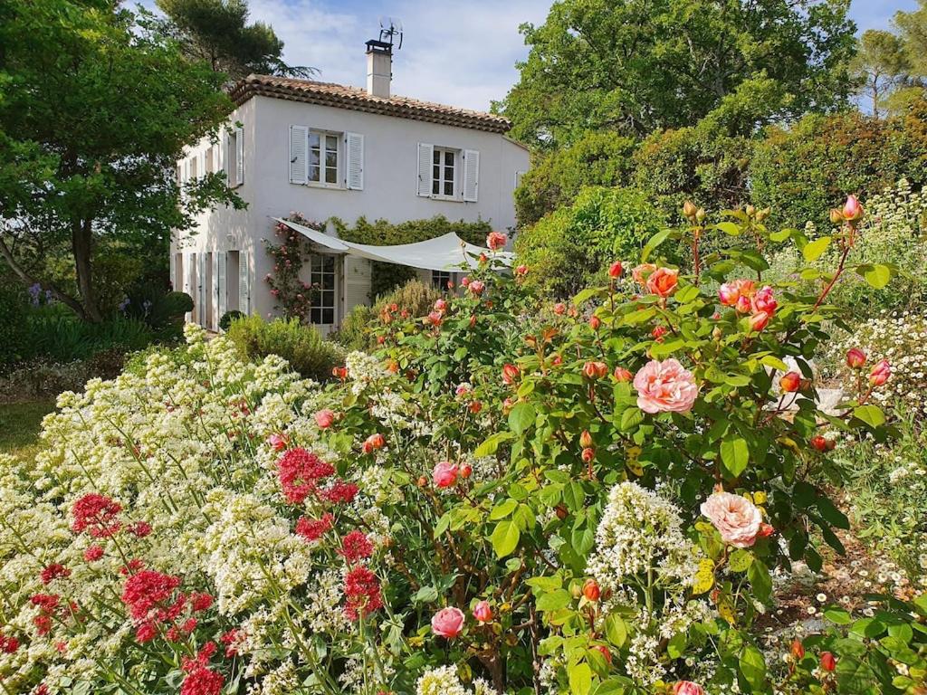 Lou Pantai, House, 5 bedrooms 8 persons, Pool, Large garden, 4km from AIX EN PROVENCE - B&B