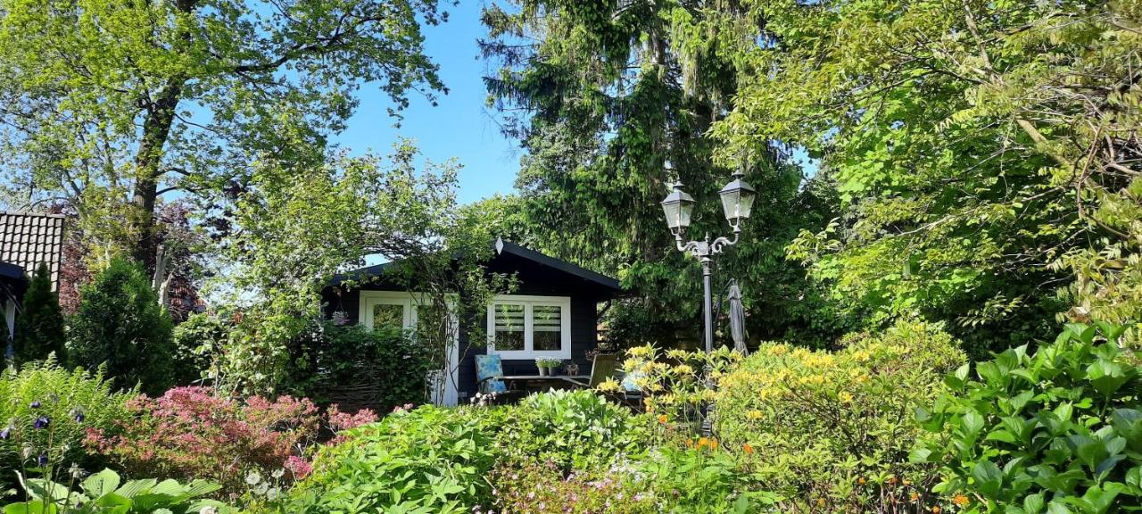 GUESTHOUSE vakantiehuis in een mooie tuin in het centrum van Zuidlaren! - B&B