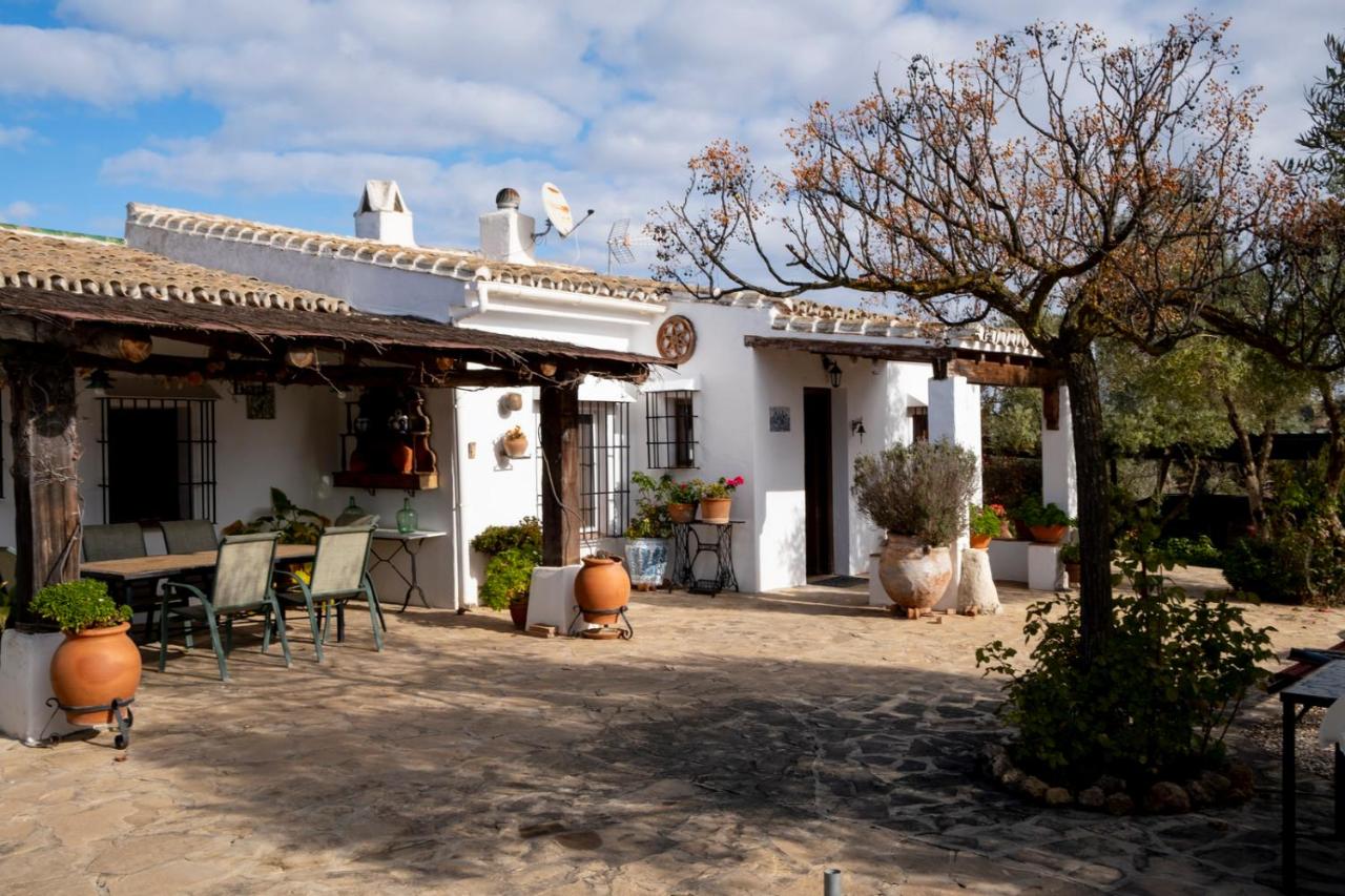 Refugio andaluz con piscina entre olivos - B&B