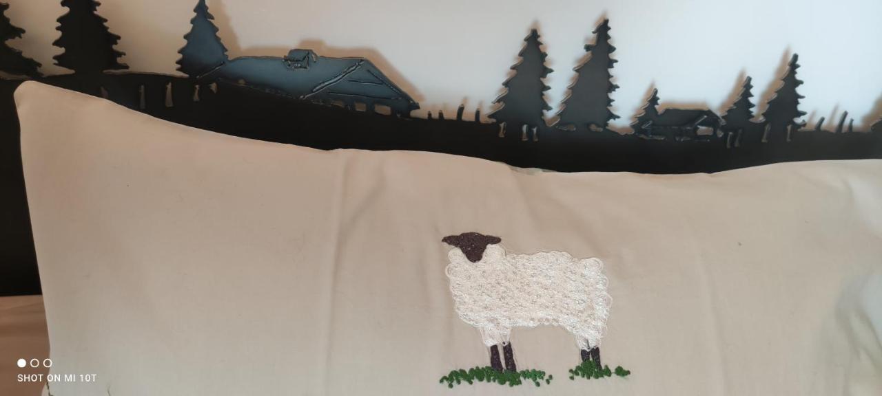 Camera Matrimoniale/Doppia con Letti Singoli