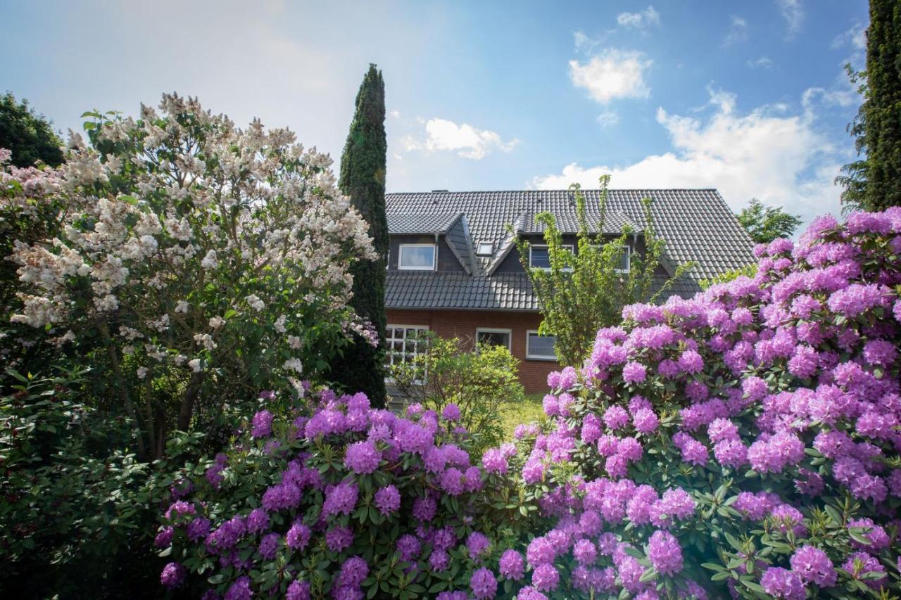 B&B Lembruch - Ferienwohnungen Schierbaum - Bed and Breakfast Lembruch