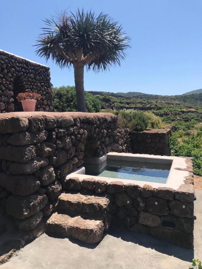 B&B Pantelleria - Dammusi IL SERRALH -Pantelleria- - Bed and Breakfast Pantelleria